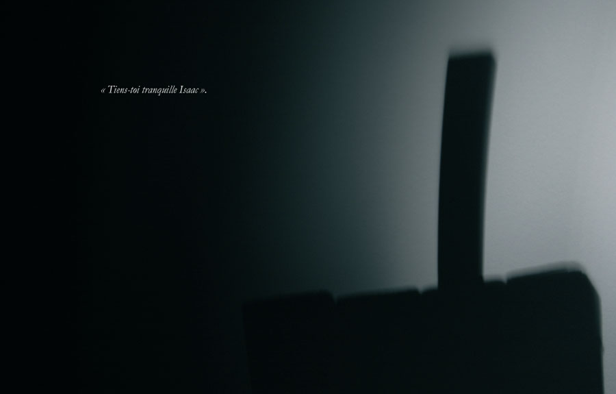 mise en page final11